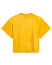 Standards - Warm Color Pack