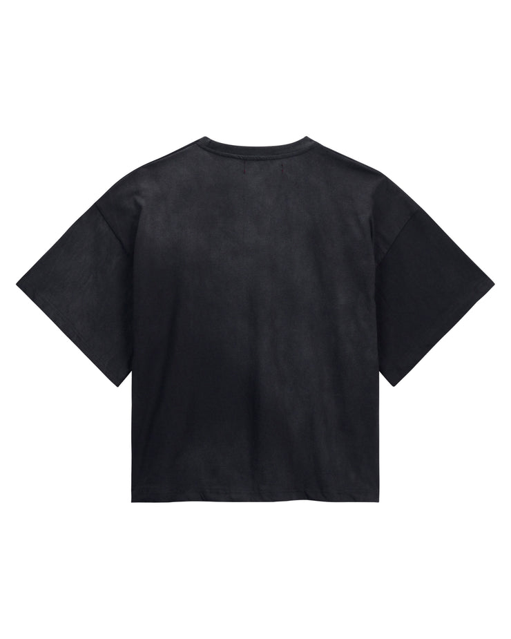 Standards - Grayscale Pack