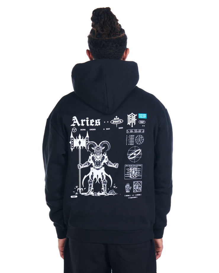 Aries Pullover Hoodie