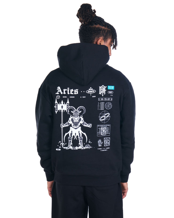 Aries Pullover Hoodie