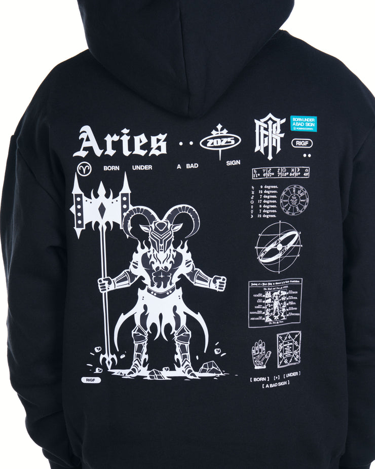 Aries Pullover Hoodie