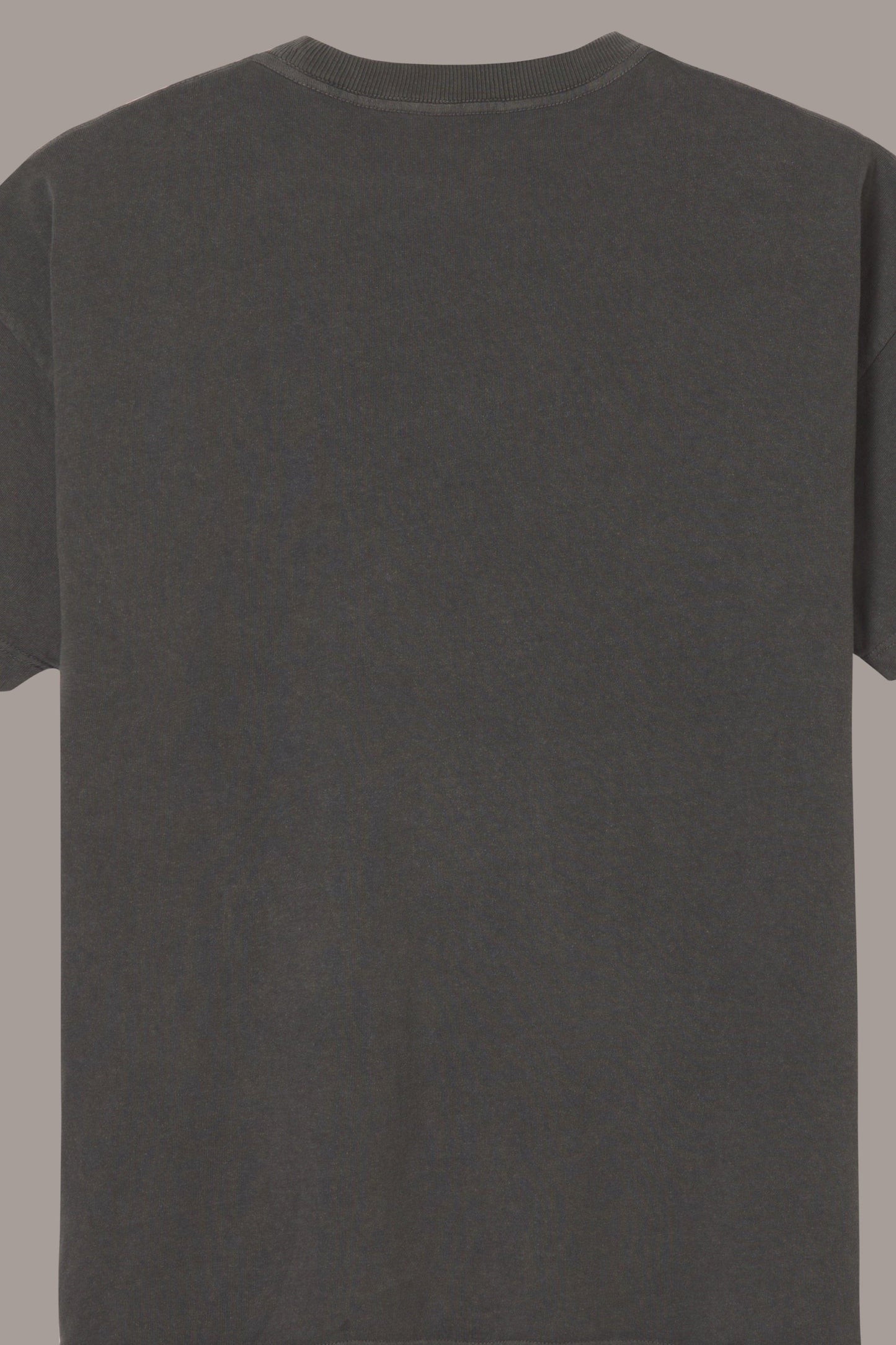 UNLIKELY COMPANION TEE - UNLIKELY COMPANION TEE - ROSE IN GOOD FAITH