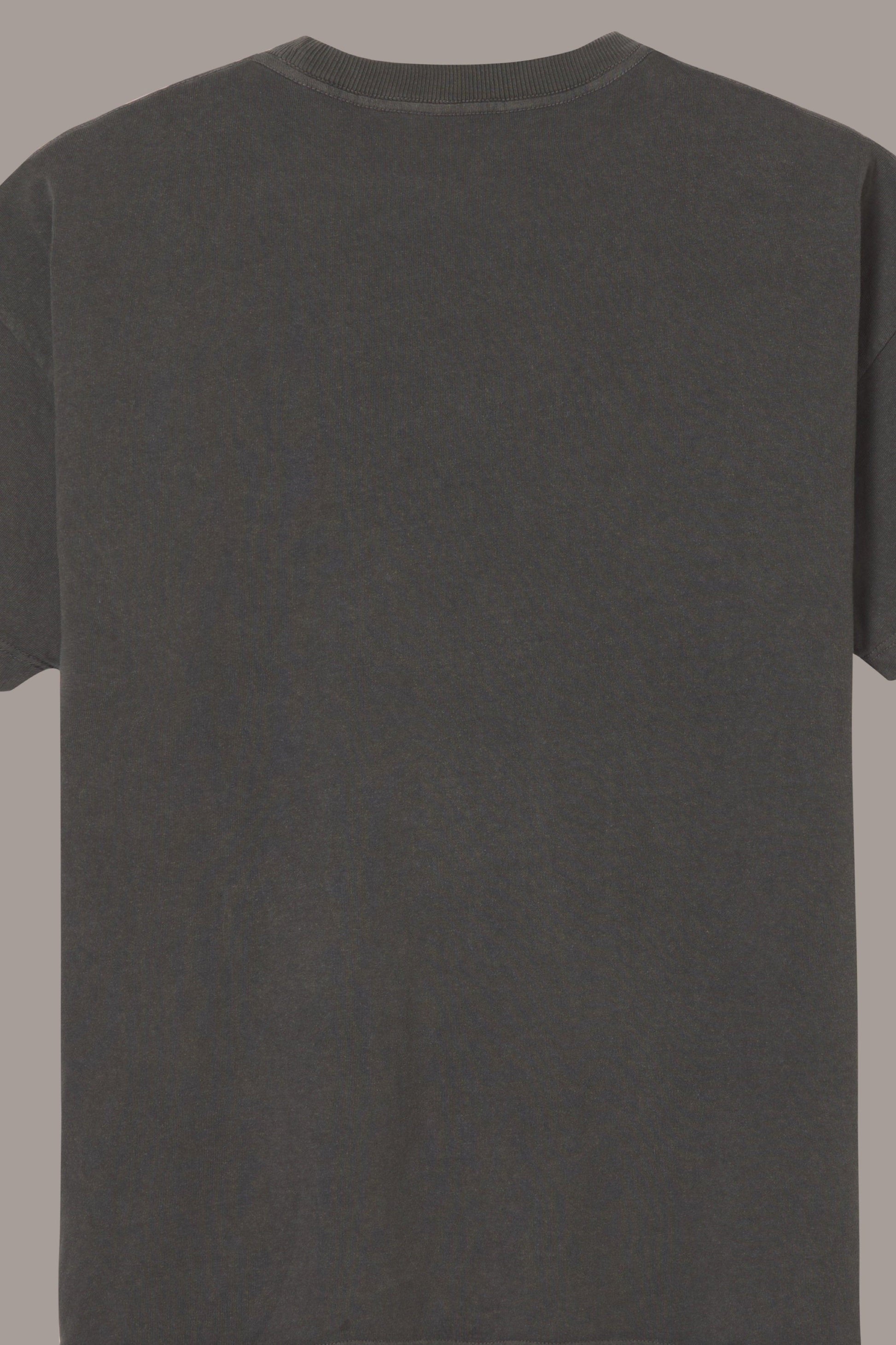 UNLIKELY COMPANION TEE - UNLIKELY COMPANION TEE - ROSE IN GOOD FAITH